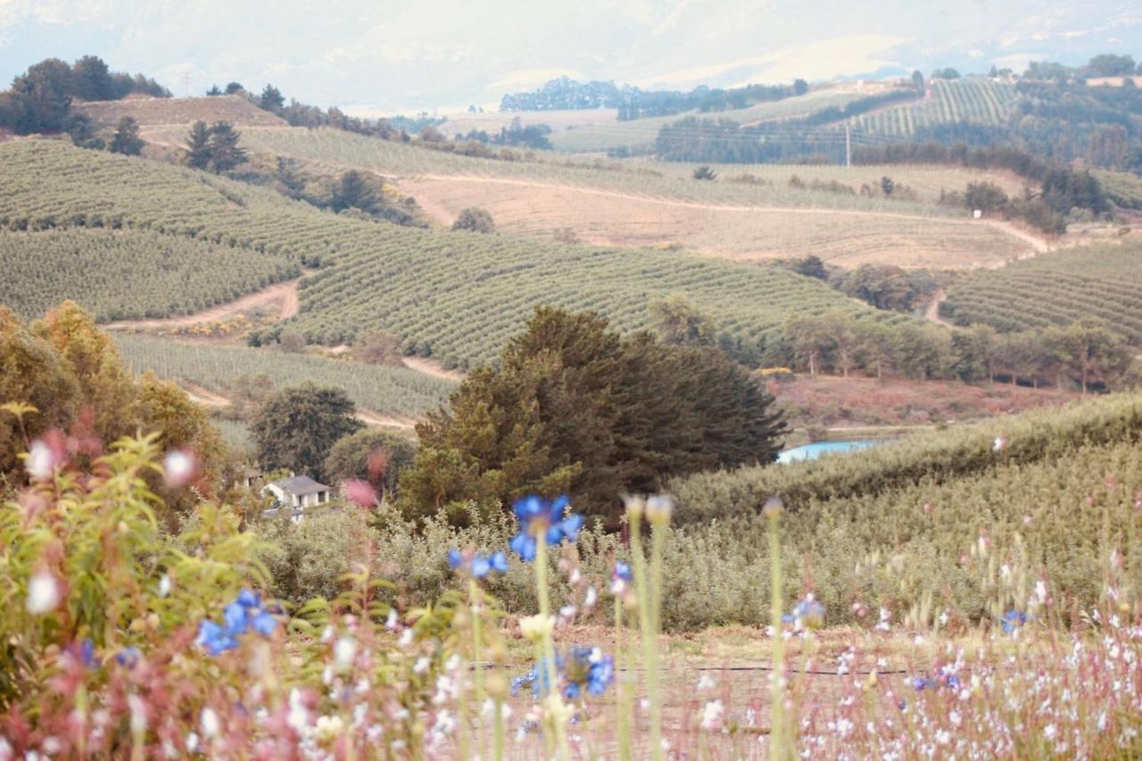 Cheverells Farm Grabouw