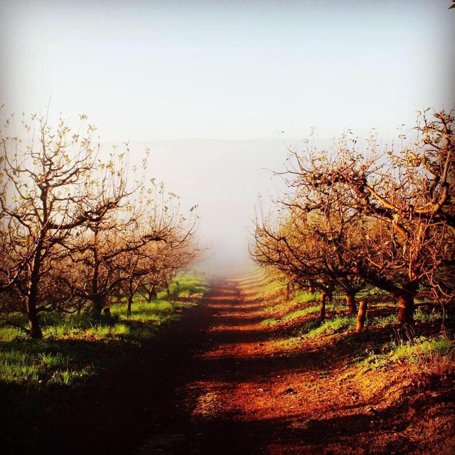 Farm stay Cheverells Farm Grabouw