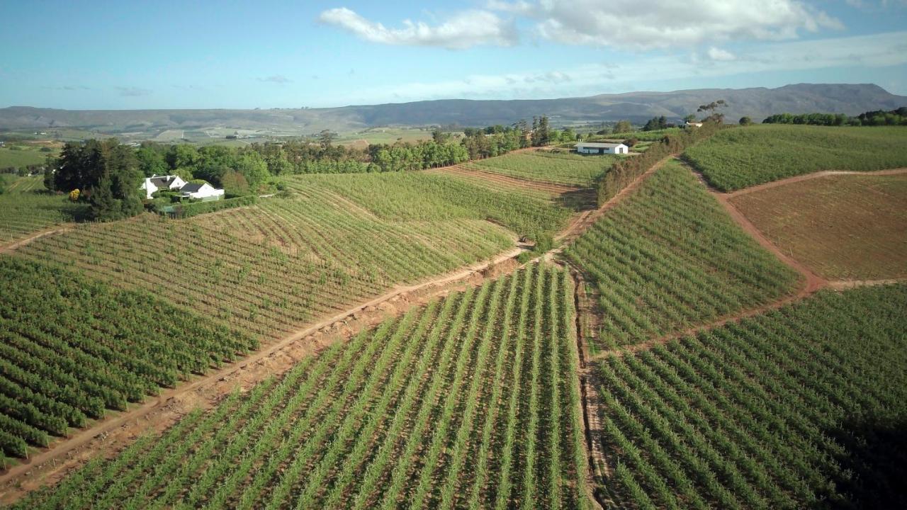 Cheverells Farm Farm stay