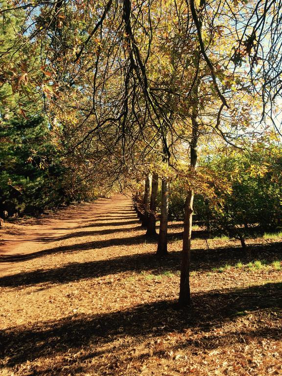 Farm stay Cheverells Farm Grabouw